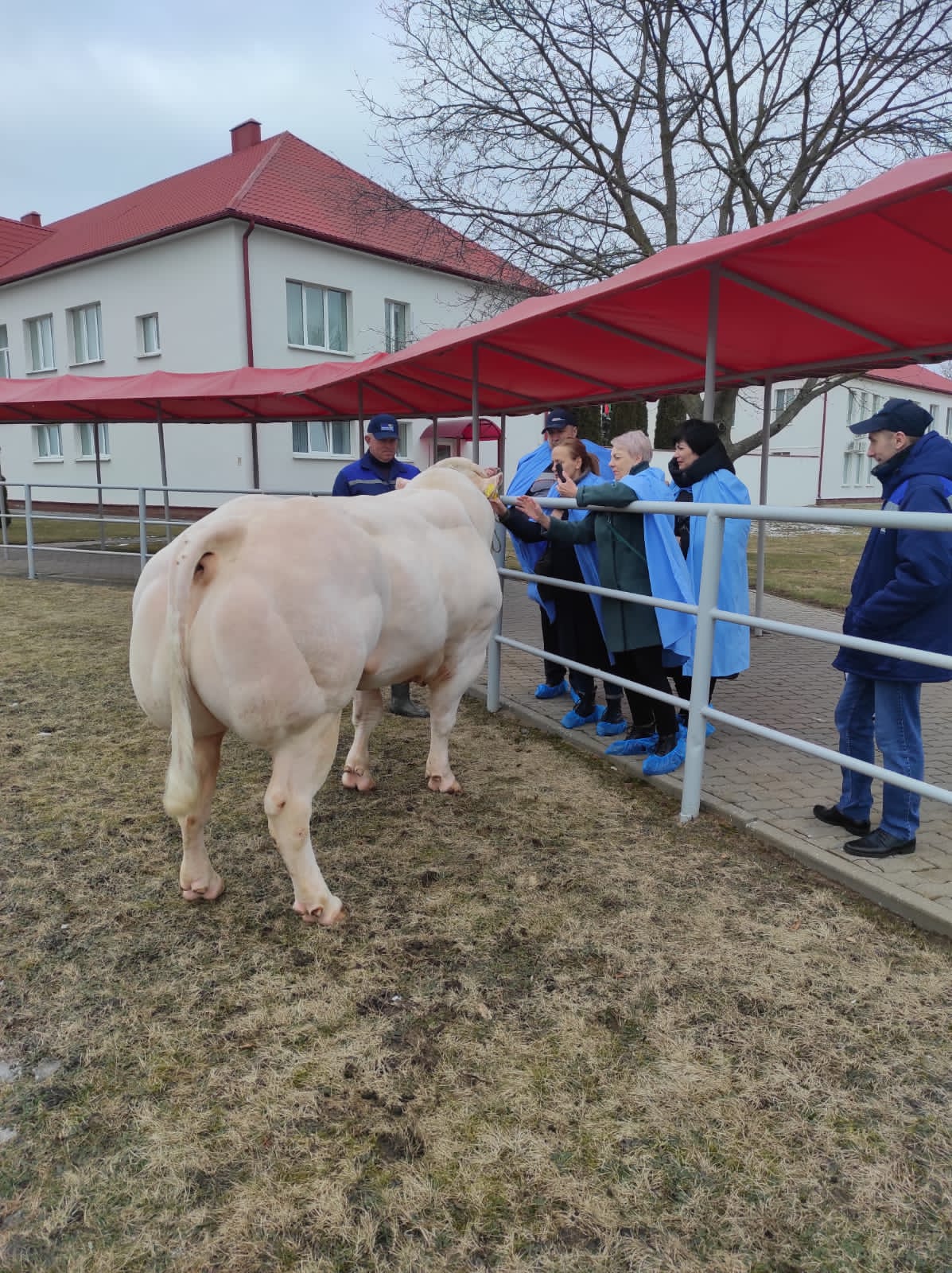 Минское племпредприятие.JPG